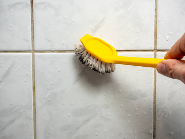 Best Localized Mold Remediation (e.g., coastal areas, humid climates) in Driggs, ID